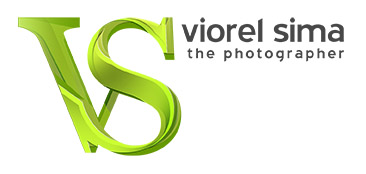 logo_viorelsima
